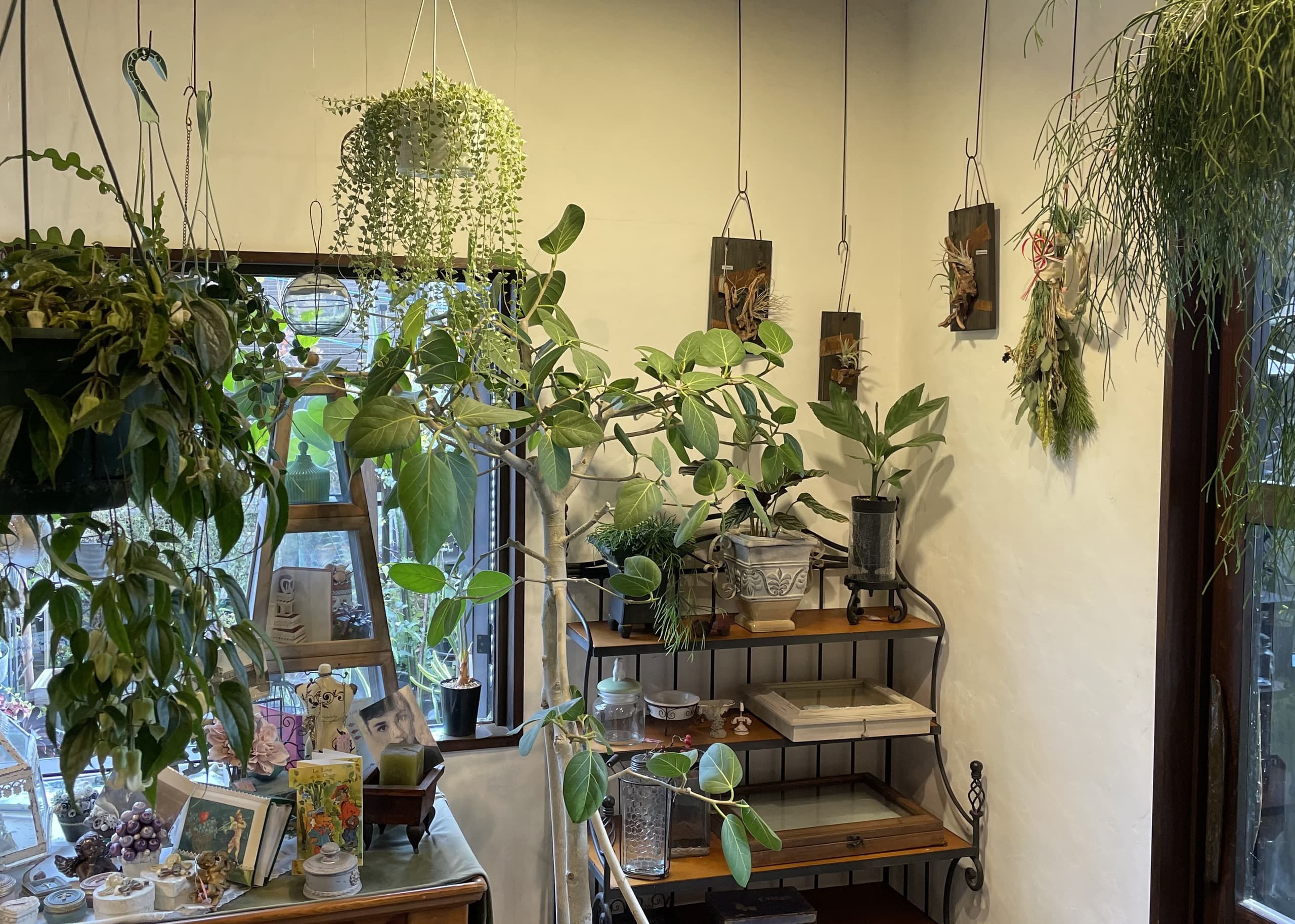 店内の様子その7