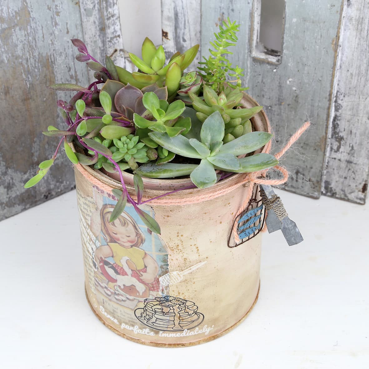 多肉植物寄せ植え182
