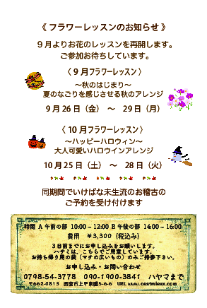 レッスン
